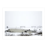 Blackbirds surrounding a frozen pond in winter (Print Only) thumbnail