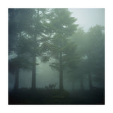 Silence of breath - 10 (Print Only) thumbnail
