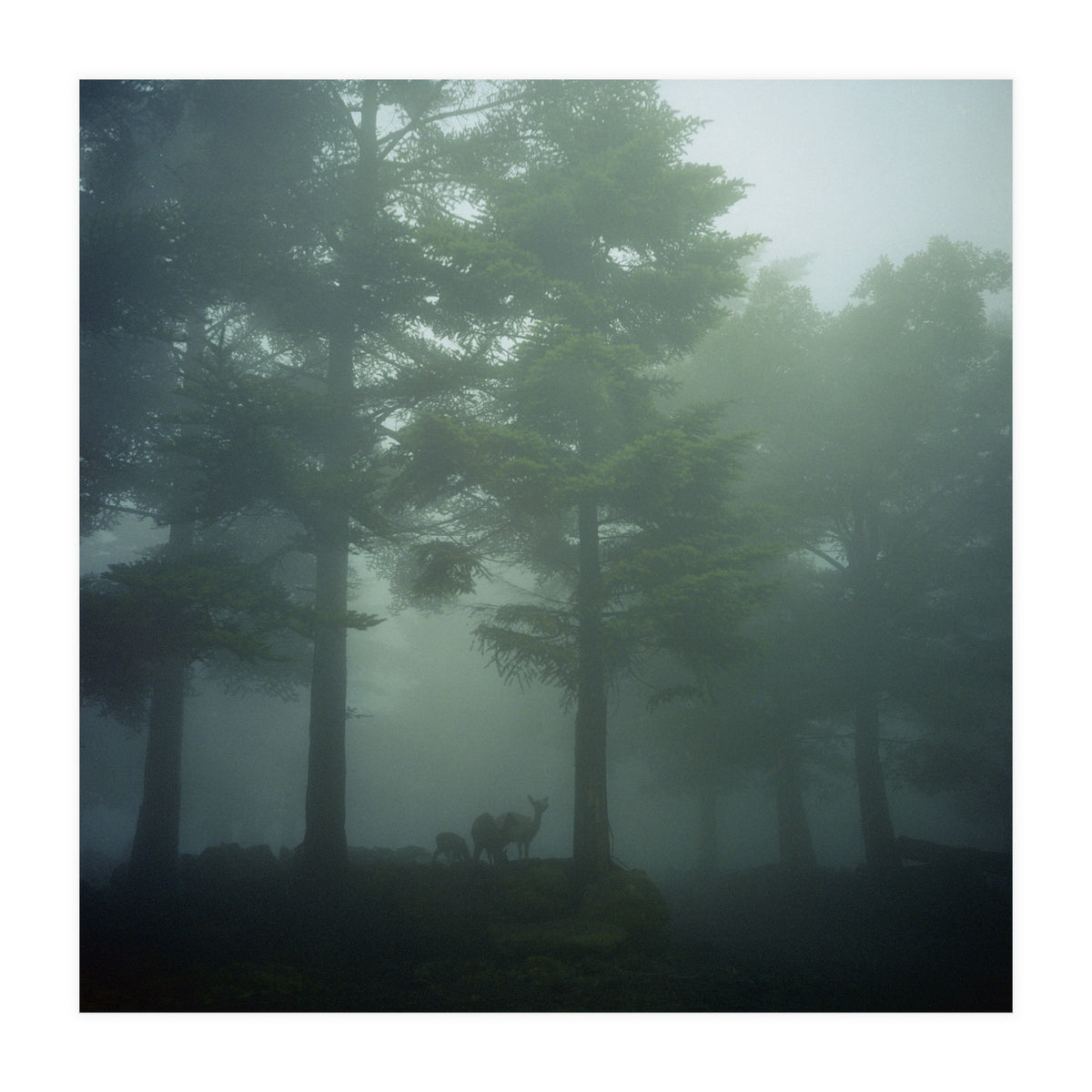 Silence of breath - 10 (Print Only)