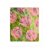 The Purity Of Desire (Print Only) thumbnail