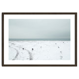 Seagulls in the winter snow beach thumbnail