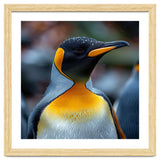 King Penguin With Water Droplets On Its Head thumbnail