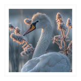 Swan Portrait Dew Drops Morning Light (Print Only) thumbnail