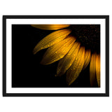 Backyard Flowers No 28 Sunflower thumbnail
