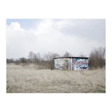 Graffiti barn in the middle of nowhere (Print Only) thumbnail