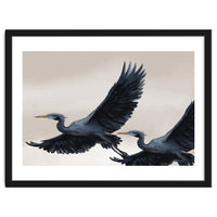 Migrating Herons