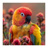 Close Up Of A Sun Conure Parrot With Bright Feathers (Print Only) thumbnail
