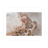 Discovery (Print Only) thumbnail