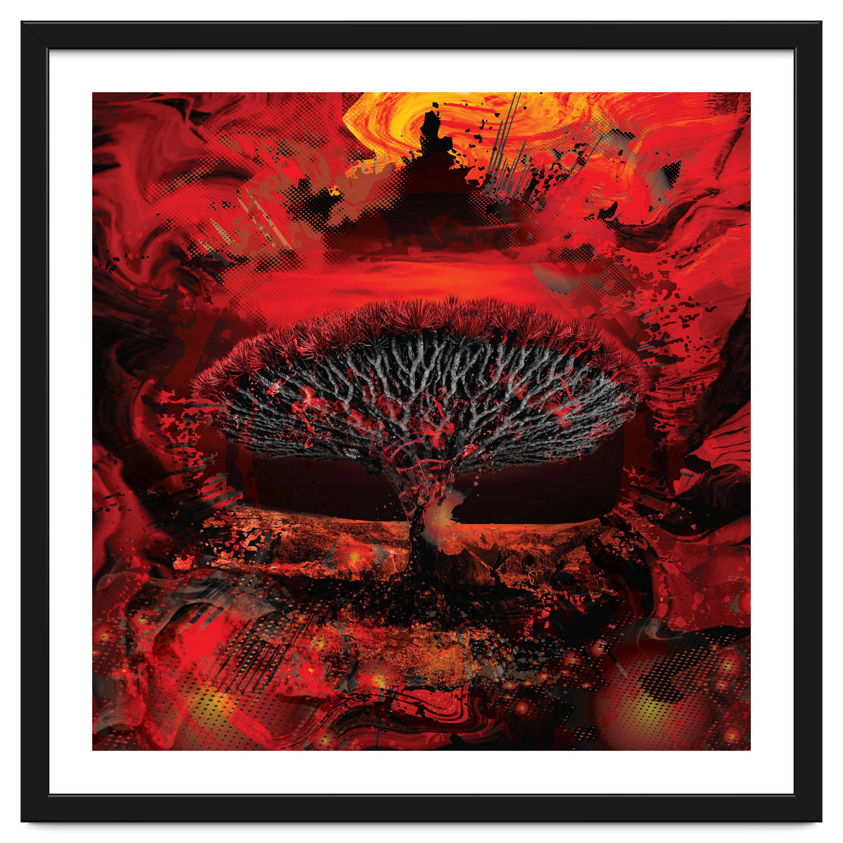 Socotra Dragon Blood tree