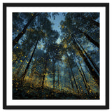 Celestial Forest Canopy with Swirling Golden Fireflies and Deep Twilight Blue Sky Digital Art thumbnail