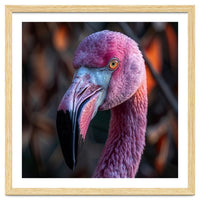 Close Up Of A Pink Flamingo Bird Face