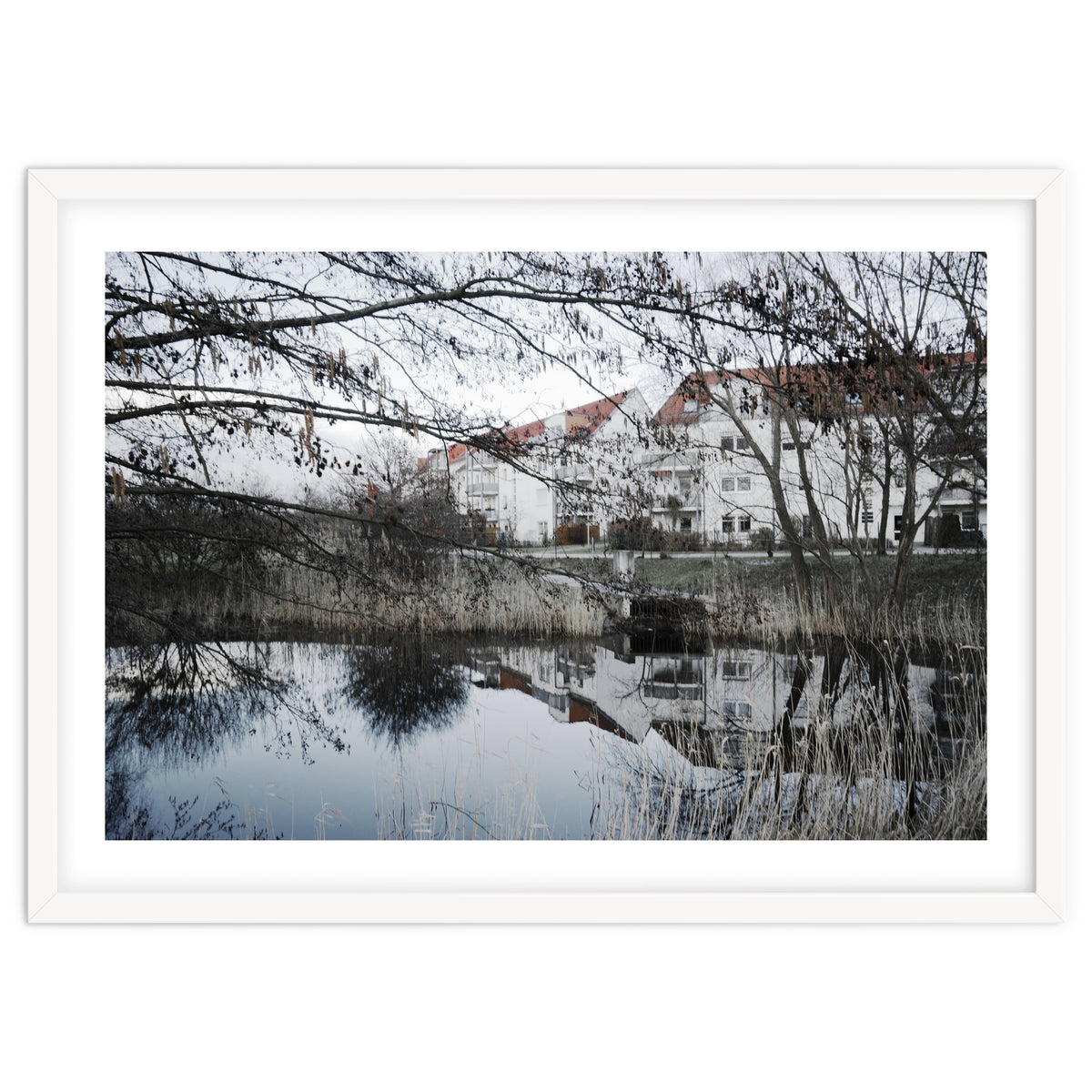 Residential house along the lake