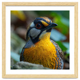 Close-up of a Yellow Bird featuring a Striking Red eye thumbnail