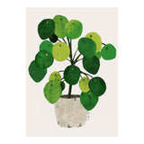 Pilea Plant (Print Only) thumbnail