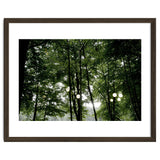 Light bulb among the trees in the summer forest thumbnail