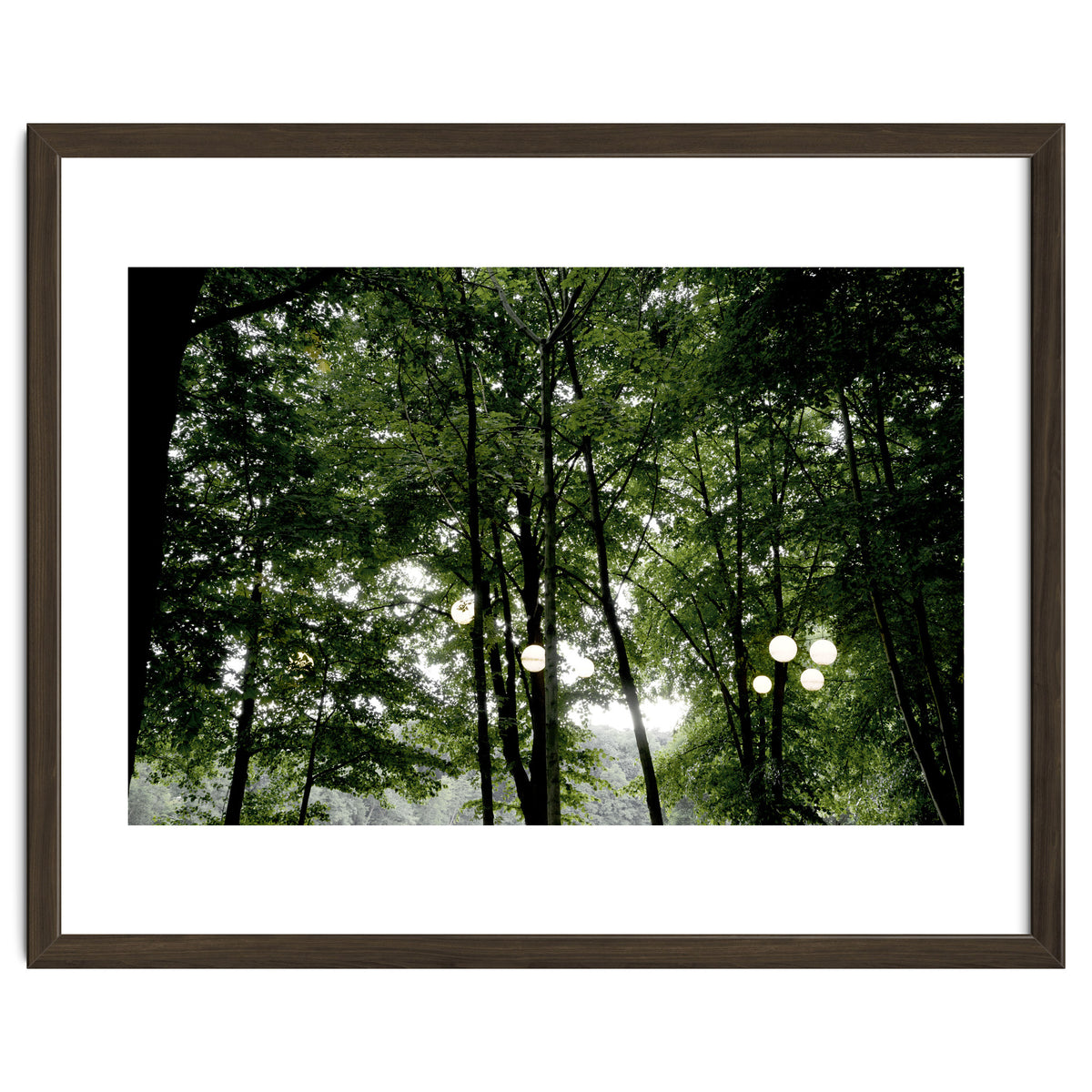Light bulb among the trees in the summer forest