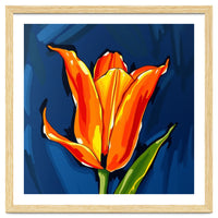 Lily Fresh