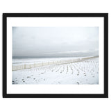 Winter grass in snow beach thumbnail