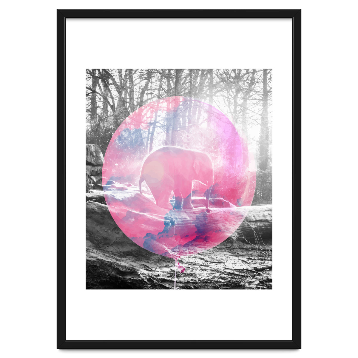 Baby Elephant In A Balloon