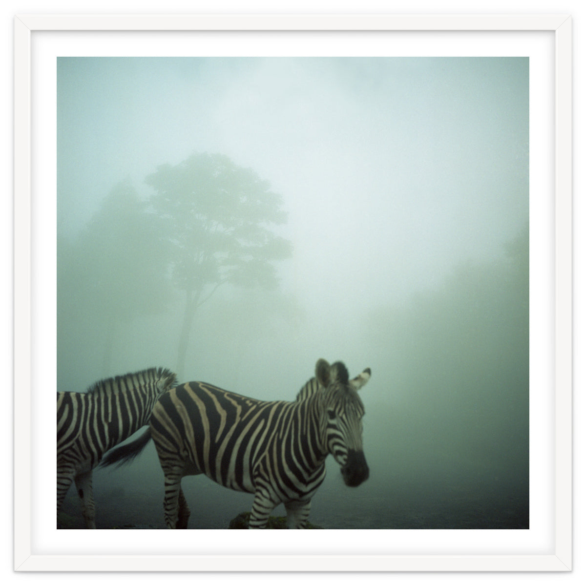 Silence of breath - 16