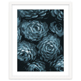Succulent Plant Blue Ii thumbnail