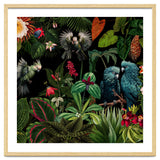 Moody Botanical Midnight Jungle Birds thumbnail