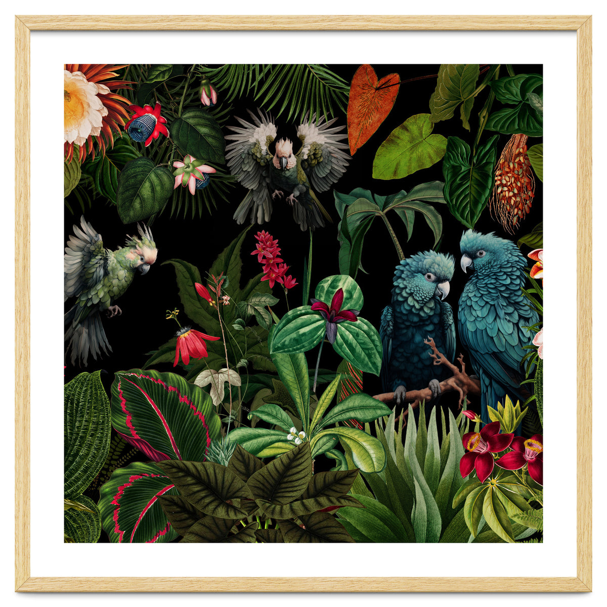 Moody Botanical Midnight Jungle Birds