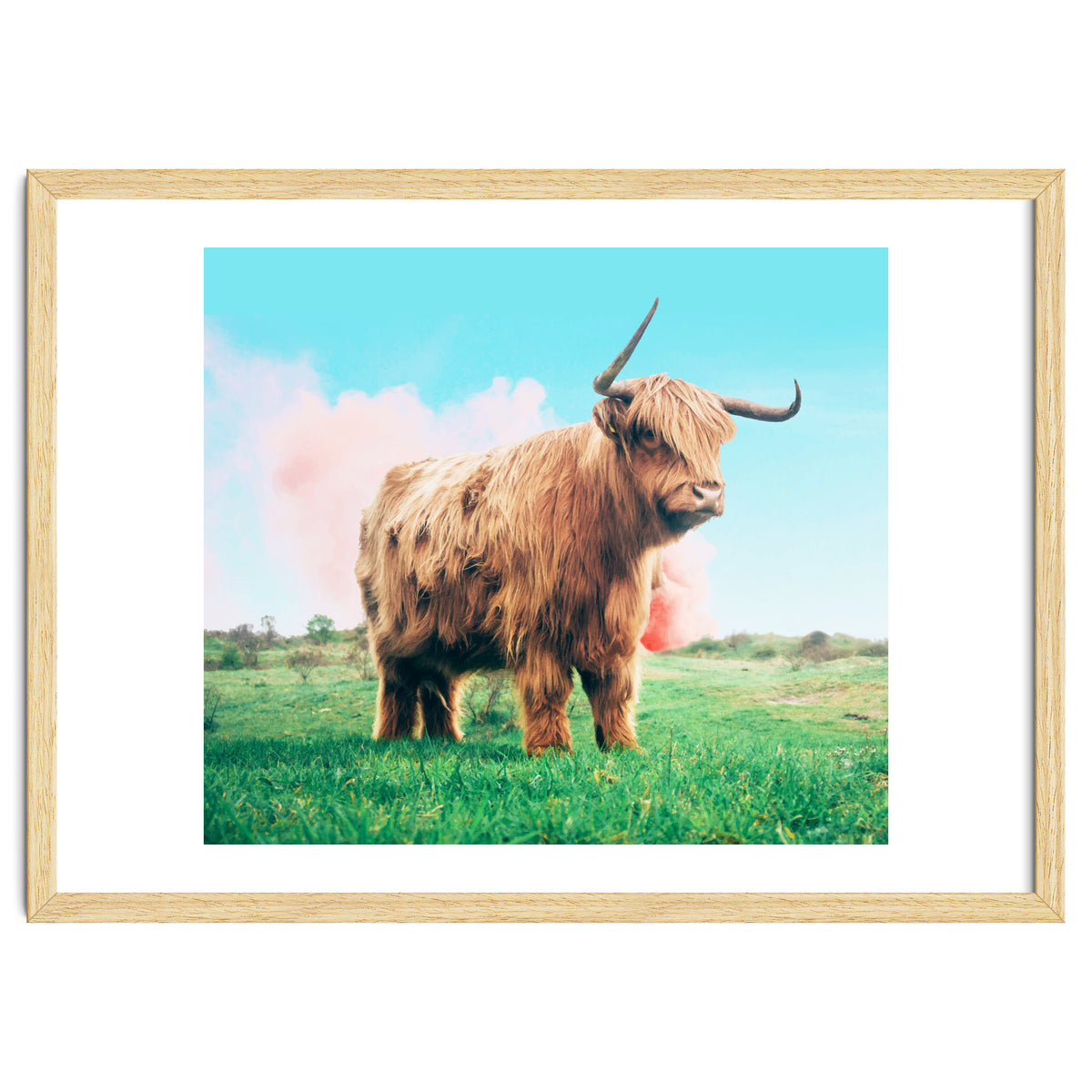 Highland Cow #society6 #decor #buyart