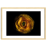 Backyard Flowers No 72 Color Version thumbnail