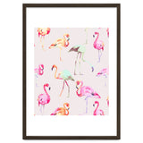 Flamingo Formation thumbnail