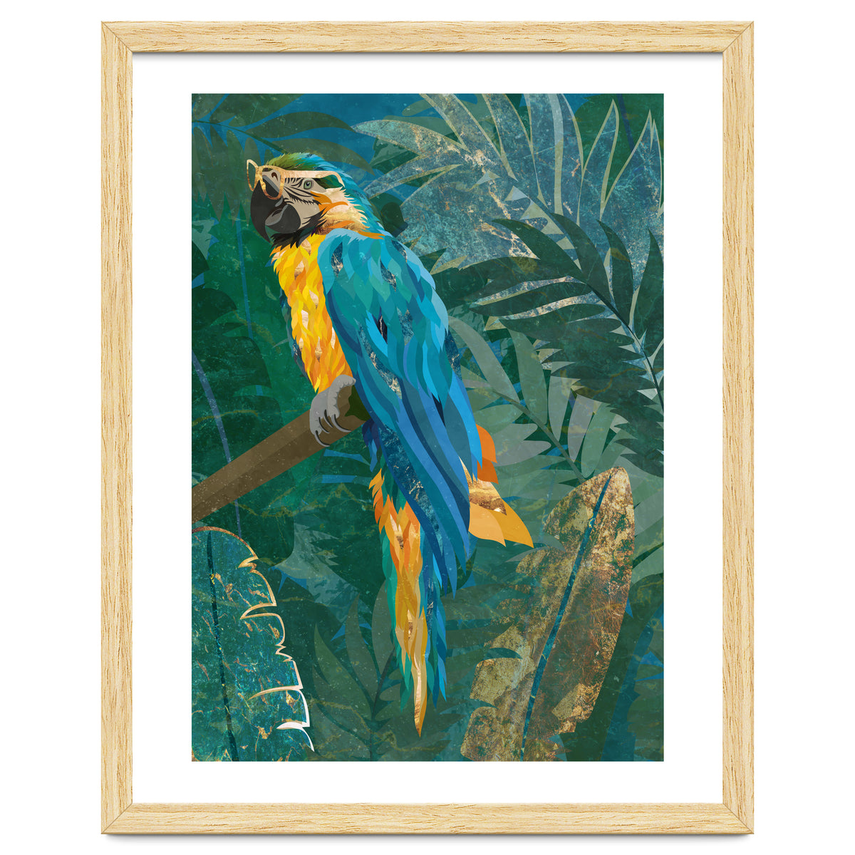 Macaw in the jungle