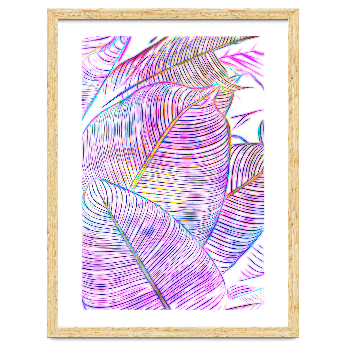 Pink Banana Leaves | Tropical Botanical Jungle | Ultraviolet Purple Nature Plants | Eclectic Forest