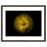Backyard Flowers No 10 Color Version thumbnail