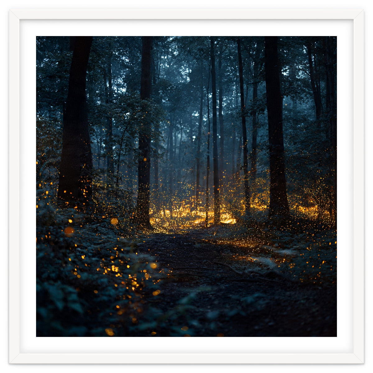 Enchanted Midnight Forest with Glowing Fireflies