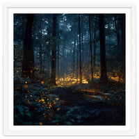 Enchanted Midnight Forest with Glowing Fireflies