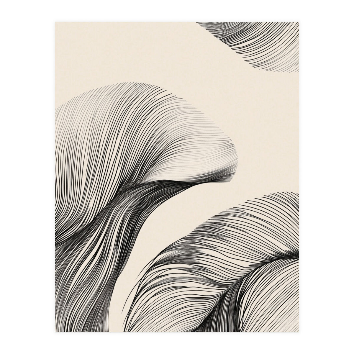 Black And White Flowing Lines Organic Shapes  (Print Only)