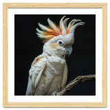 White Cockatoo Parrot Bird Perched On Branch thumbnail