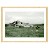 Sheep with a farmhouse - Iceland thumbnail