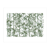 Bamboo Moody Green White (Print Only) thumbnail