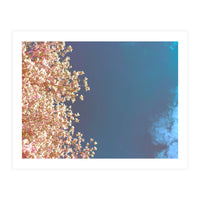 Leaves And Sky (Print Only)