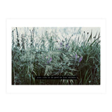 Photography - Summer Garden (Print Only) thumbnail