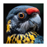 Close-up Portrait of a Vibrant Parrot (Print Only) thumbnail