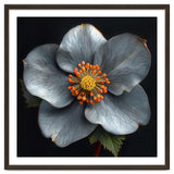 Hellebore | Silver Magic thumbnail