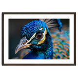 Close Up Of A Peacock Head And Eye thumbnail