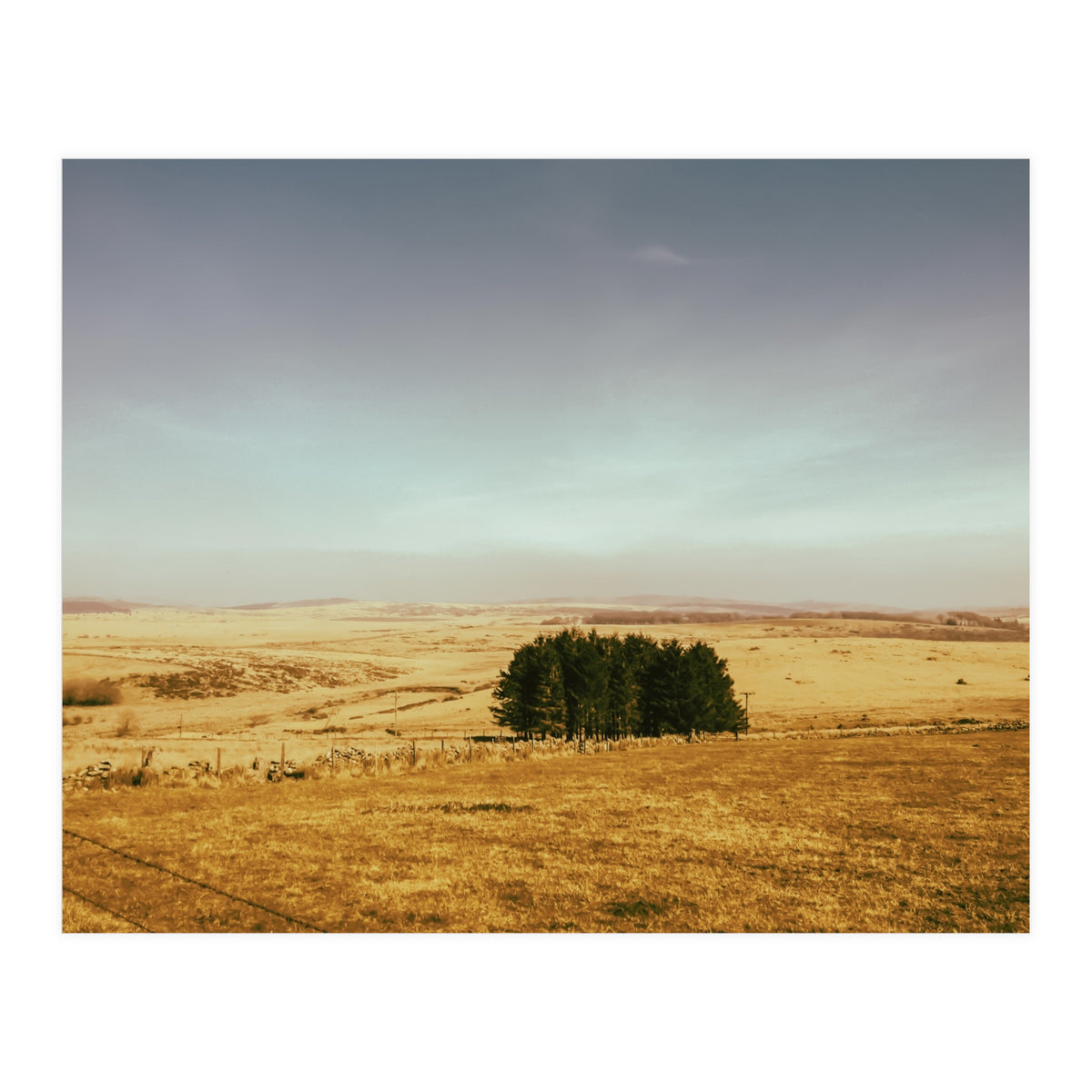 Dartmoor 2018 (Print Only)