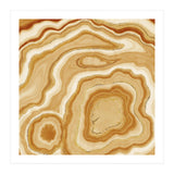 Golden Agate Texture 05 (Print Only) thumbnail