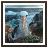 Black Browed Albatross Perched On Nest Near Ocean thumbnail