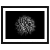 Backyard Flowers In Black And White No 48 Flow Version thumbnail