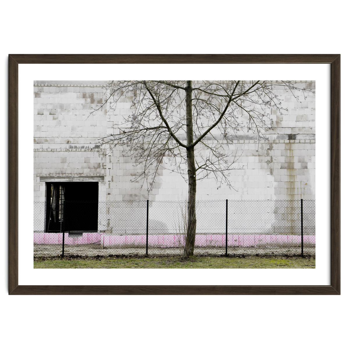 A tree in front of the wall