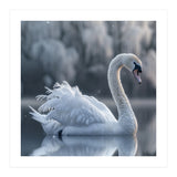 Majestic White Swan Gracefully Floating On Water (Print Only) thumbnail